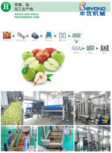苹果生产线 梨加工 水果设备 果汁流水线 水果加工 本优机械